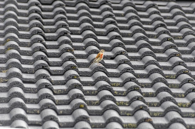 roofline,roof,shingle roof,tile roof,