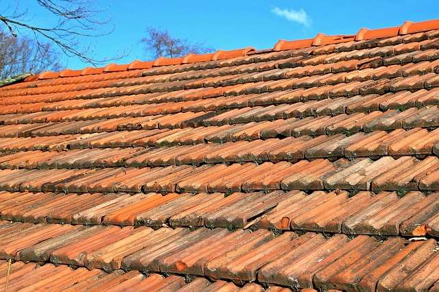 rooflineroofshingle-rooftile-roof-640x480-56266313.jpeg