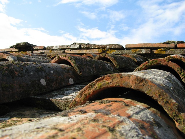 roofline,roof,shingle roof,tile roof,