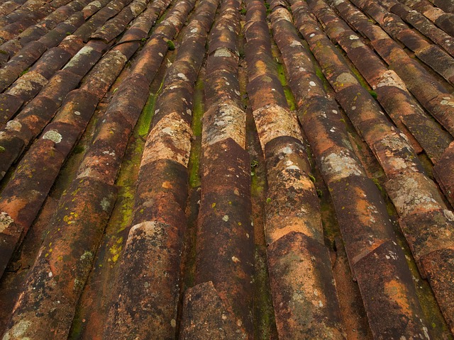 rooflineroofshingle-rooftile-roof-640x480-58164128.jpeg