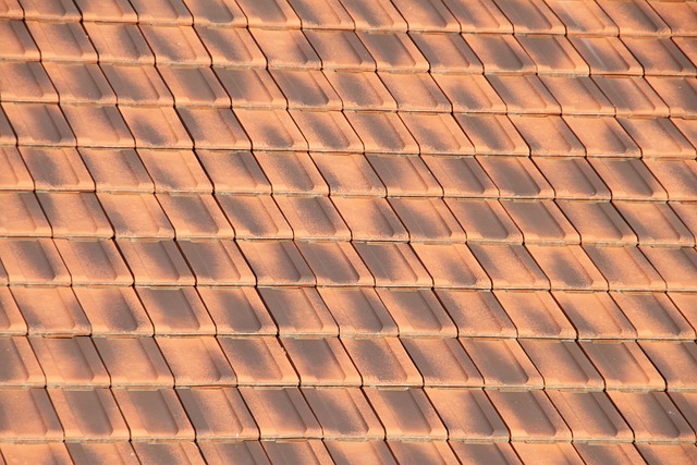 roofline,roof,shingle roof,tile roof,