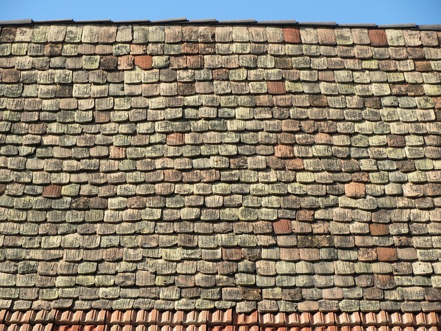 rooflineroofshingle-rooftile-roof-640x480-59932882.jpeg