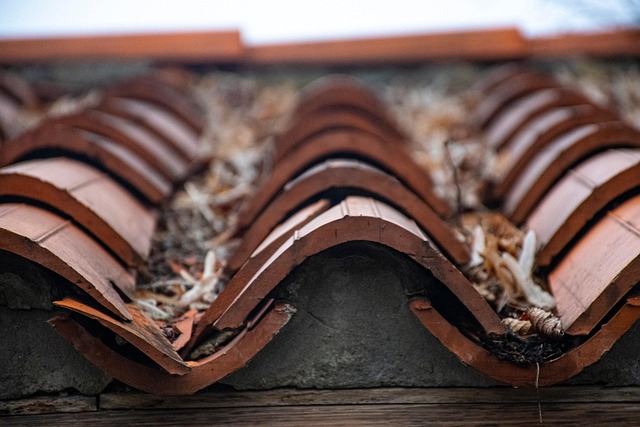 roofline,roof,shingle roof,tile roof,