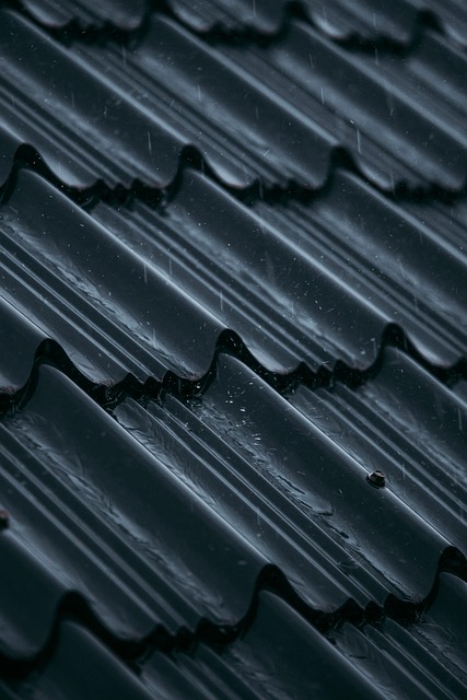 roofline,roof,shingle roof,tile roof,