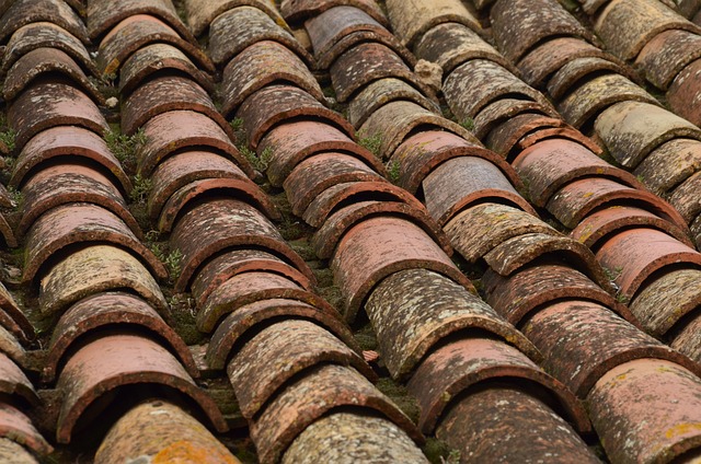 rooflineroofshingle-rooftile-roof-640x480-61458034.jpeg