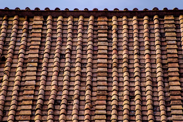 roofline,roof,shingle roof,tile roof,