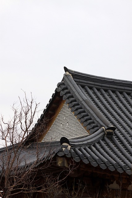 roofline,roof,shingle roof,tile roof,