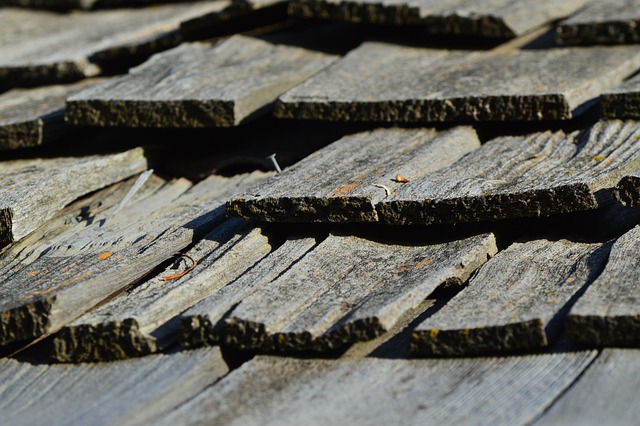 roofline,roof,shingle roof,tile roof,