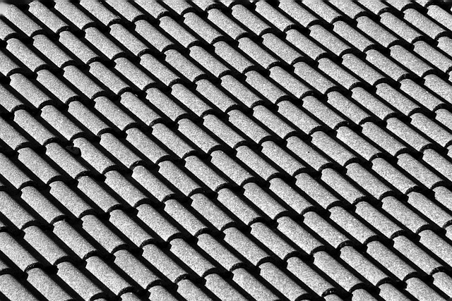 roofline,roof,shingle roof,tile roof,