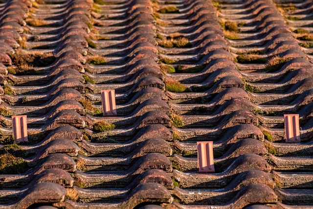 roofline,roof,shingle roof,tile roof,