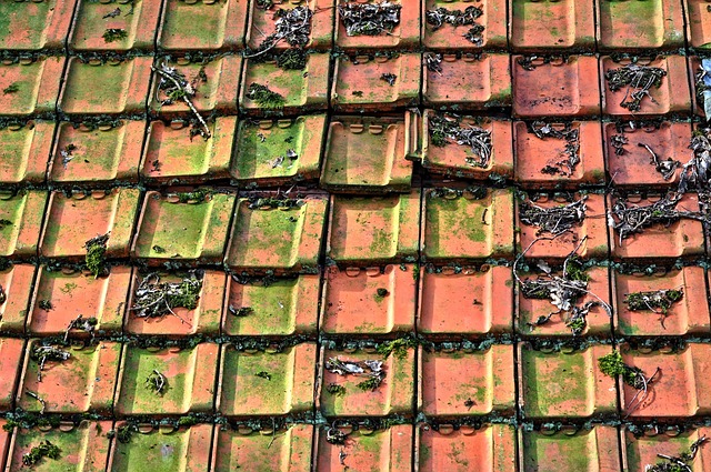 roofline,roof,shingle roof,tile roof,