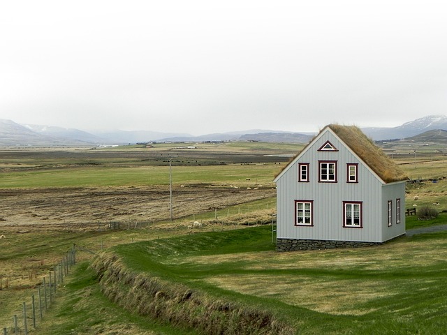 roofline,roof,shingle roof,tile roof,