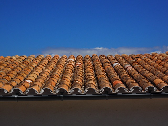 rooflineroofshingle-rooftile-roof-640x480-75003094.jpeg