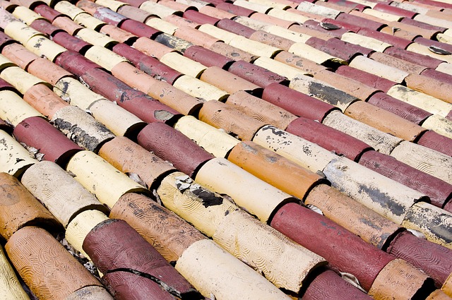 roofline,roof,shingle roof,tile roof,