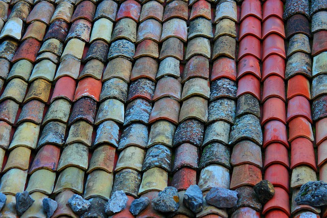 roofline,roof,shingle roof,tile roof,