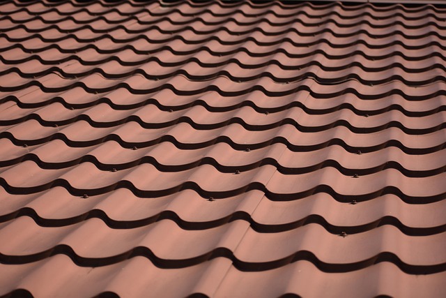 roofline,roof,shingle roof,tile roof,