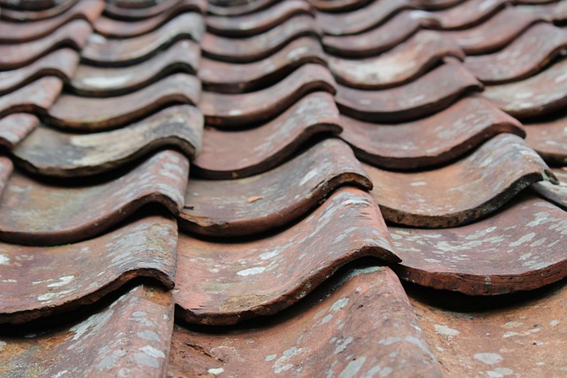 rooflineroofshingle-rooftile-roof-640x480-79742702.jpeg