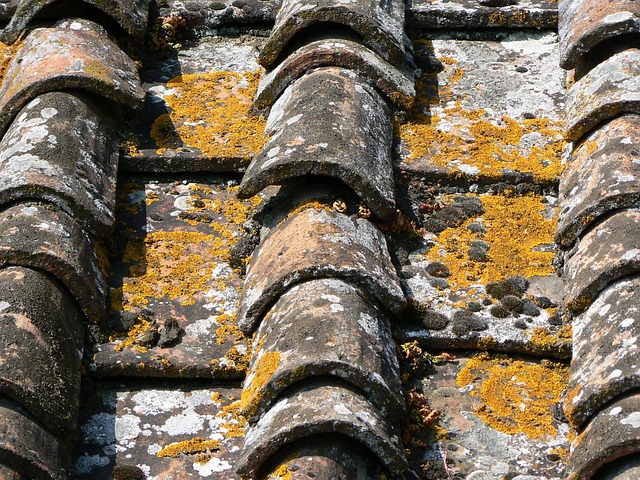 rooflineroofshingle-rooftile-roof-640x480-80713848.jpeg