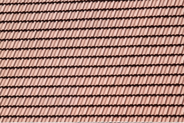 roofline,roof,shingle roof,tile roof,