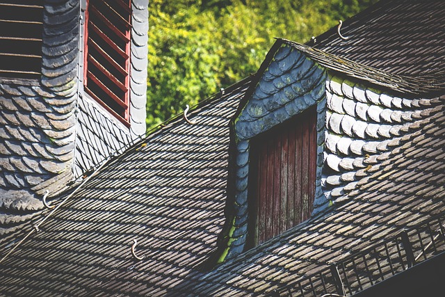 roofline,roof,shingle roof,tile roof,