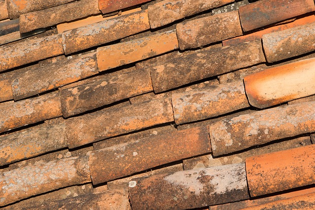 rooflineroofshingle-rooftile-roof-640x480-83697303.jpeg