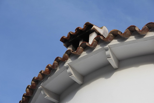 roofline,roof,shingle roof,tile roof,
