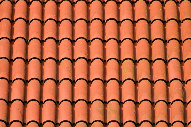 Expert Roof Maintenance Eugene Oregon: Unlocking Meticulous Inspections