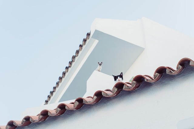 roofline,roof,shingle roof,tile roof,