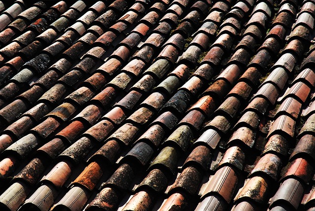 roofline,roof,shingle roof,tile roof,