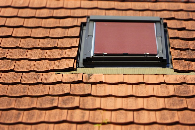 roofline,roof,shingle roof,tile roof,