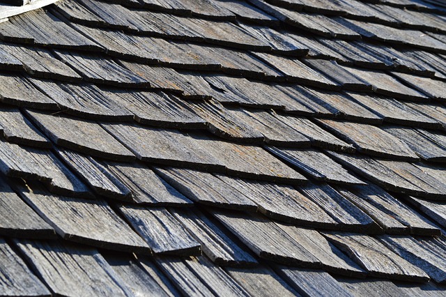 rooflineroofshingle-rooftile-roof-640x480-91124876.jpeg