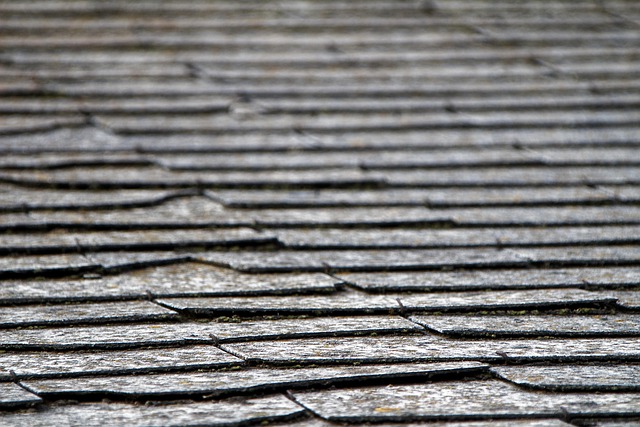 roofline,roof,shingle roof,tile roof,