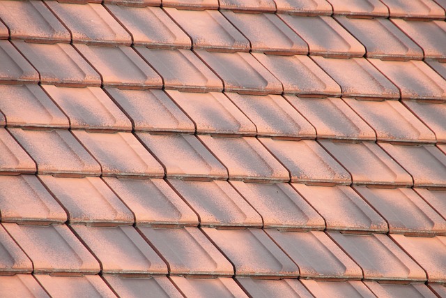 roofline,roof,shingle roof,tile roof,