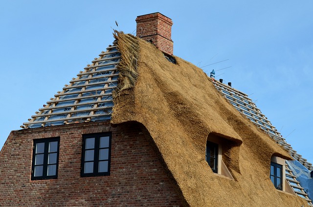 roofline,roof,shingle roof,tile roof,