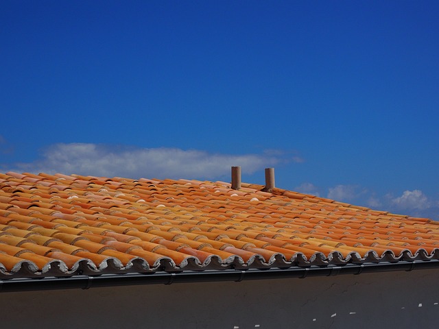 roofline,roof,shingle roof,tile roof,