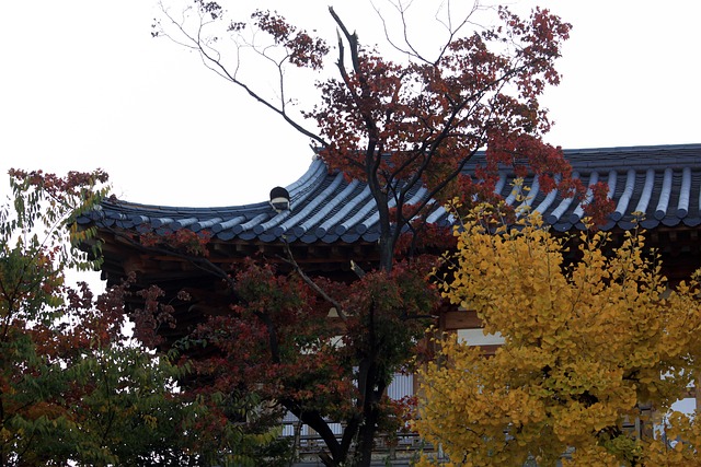 New Roof Installation Eugene Oregon: Experts Guide Your Transformation