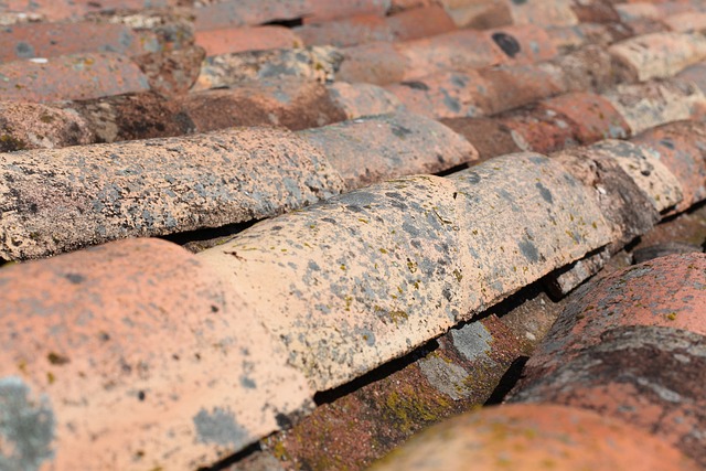 roofline,roof,shingle roof,tile roof,