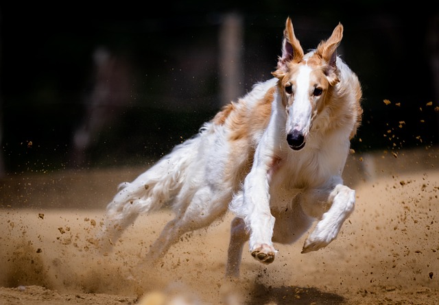 running