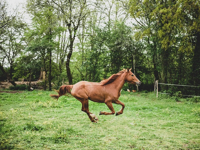 running