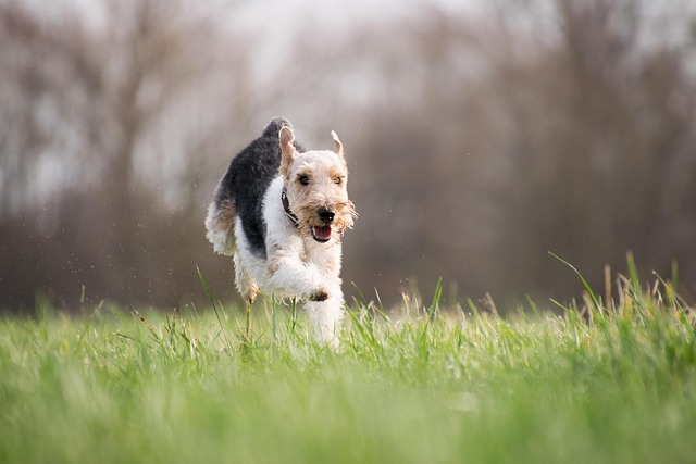 running