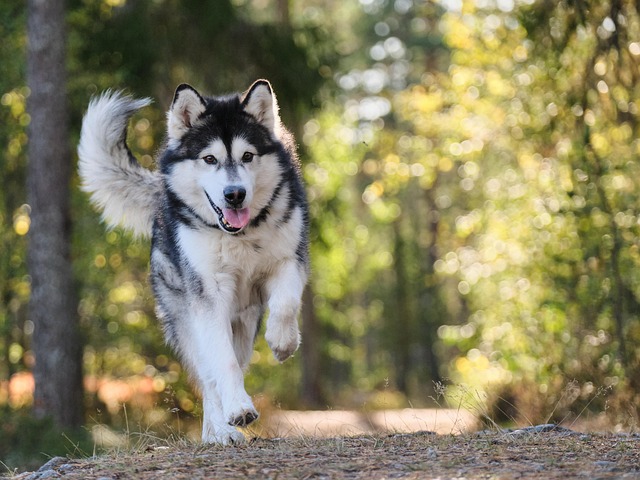 running