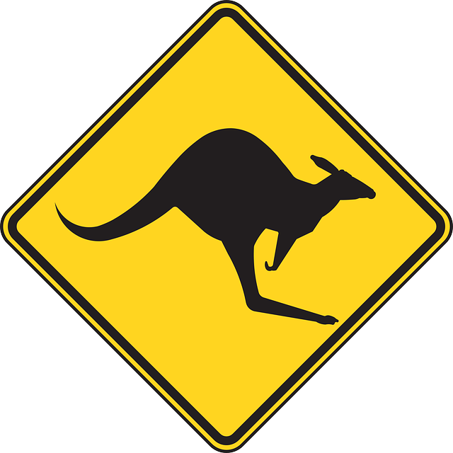 safety
