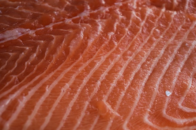 salmon