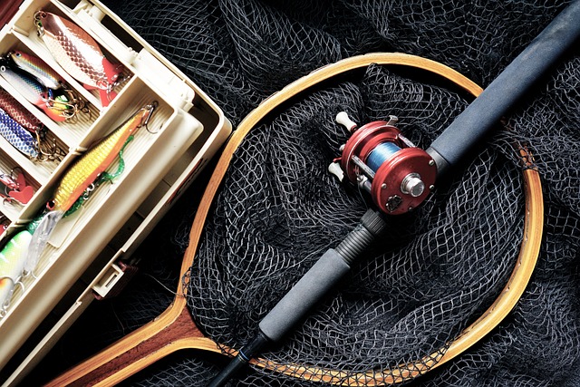 Salmon, fishing, Lane, river, nature, outdoors