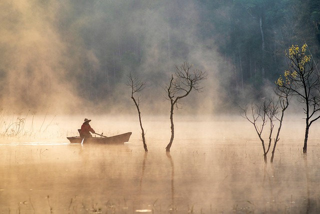 salmon-fishing-lane-river-nature-outdoor-640x480-39923613.jpeg