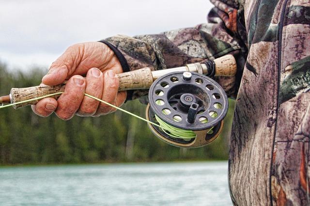 Lane County’s Salmon Hotspots: A Fishing Club Guide to Abundant Species
