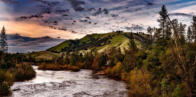 Salmon, fishing, Lane, river, nature, outdoors