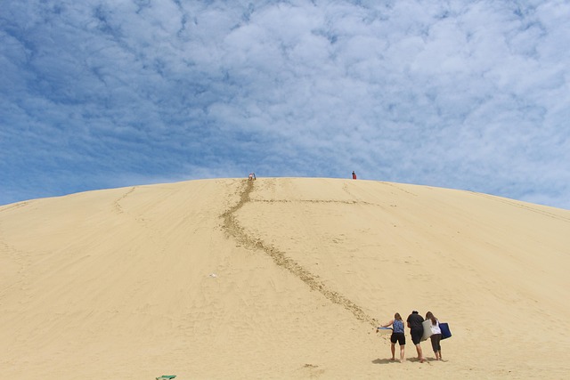 sandboarding