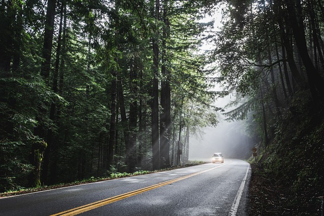 scenic-drive-coast-landscape-road-views-640x480-43379866.jpeg