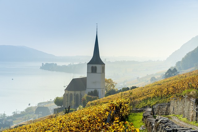 scenic, drive, coast, landscape, road, views